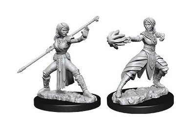 D&D Nolzur's Marvelous Miniatures - Female Half-Elf Monk