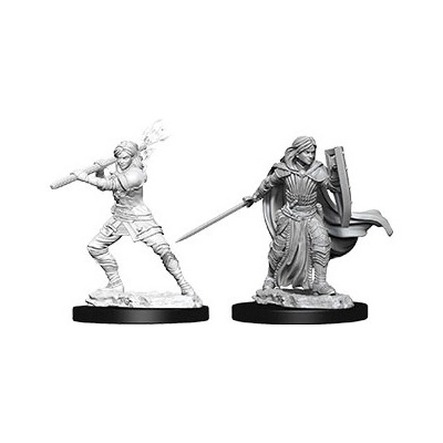 D&D Nolzur's Marvelous Miniatures Miniaturen unbemalt Female Human Paladin