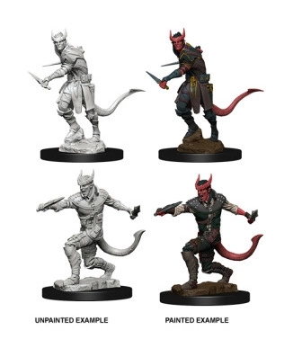 D&D Nolzur's Marvelous Miniatures - Tiefling Male Rogue