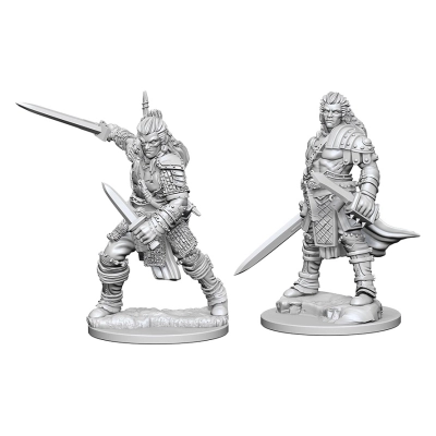 Pathfinder Deep Cuts Unpainted Miniatures - Human Male Fighter 