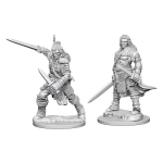 Pathfinder Deep Cuts Unpainted Miniatures - Human Male Fighter 