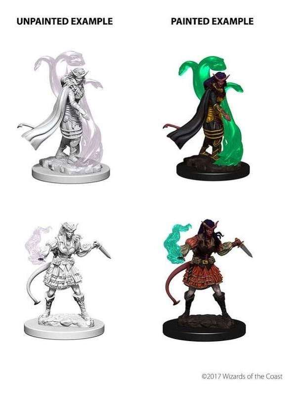 D&D Nolzur's Marvelous Miniatures - Tiefling Female Sorcerer 