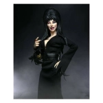 Elvira, Mistress of the Dark Clothed Actionfigur 20 cm