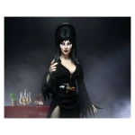 Elvira, Mistress of the Dark Clothed Actionfigur 20 cm