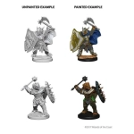 D&D Nolzur's Marvelous Miniatures - Dragonborn Male Paladin