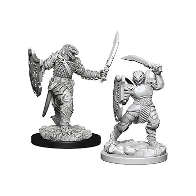 D&D Nolzur's Marvelous Miniatures - Dragonborn Female Paladin