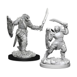 D&D Nolzur's Marvelous Miniatures - Dragonborn Female Paladin