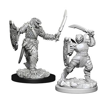 D&D Nolzur's Marvelous Miniatures - Dragonborn Female Paladin