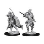 D&D Nolzurs Marvelous Miniatures Male Elf Rogue