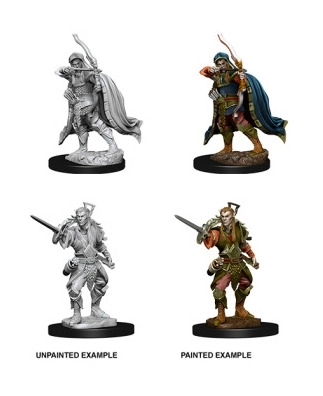 D&D Nolzurs Marvelous Miniatures Male Elf Rogue