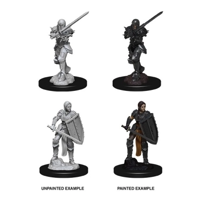 D&D Nolzur's Marvelous Miniatures - Female Human Fighter