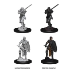 D&D Nolzur's Marvelous Miniatures - Female Human Fighter