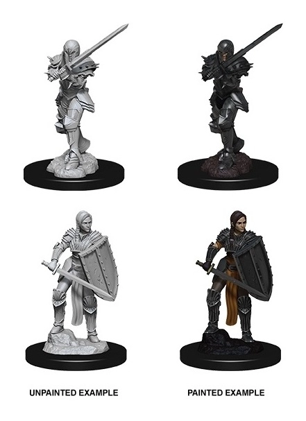 D&D Nolzur's Marvelous Miniatures - Female Human Fighter