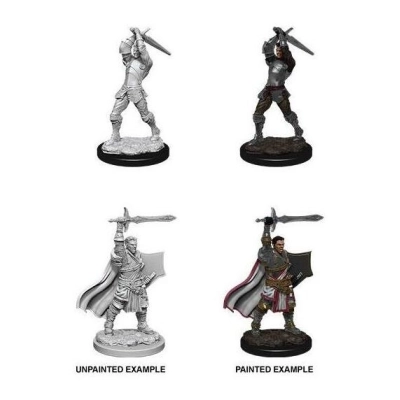 D&D Nolzur's Marvelous Miniatures Miniaturen unbemalt Male Human Paladin