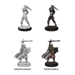 D&D Nolzur's Marvelous Miniatures Miniaturen unbemalt Male Human Paladin