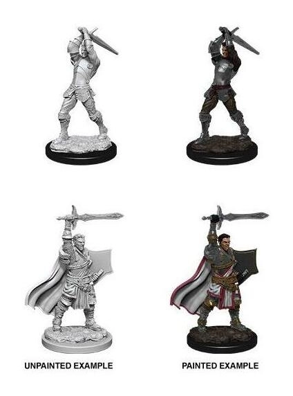 D&D Nolzur's Marvelous Miniatures Miniaturen unbemalt Male Human Paladin