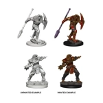 D&D Nolzur's Marvelous Miniatures - Dragonborn Male Fighter with Spear