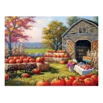 Pumpkins for Sale - Sung Kim