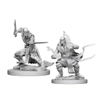 D&D Nolzur's Marvelous Miniatures - Githzerai 