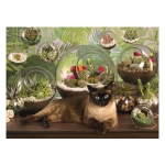 Terrarium Cat - Jo-Ann Richards