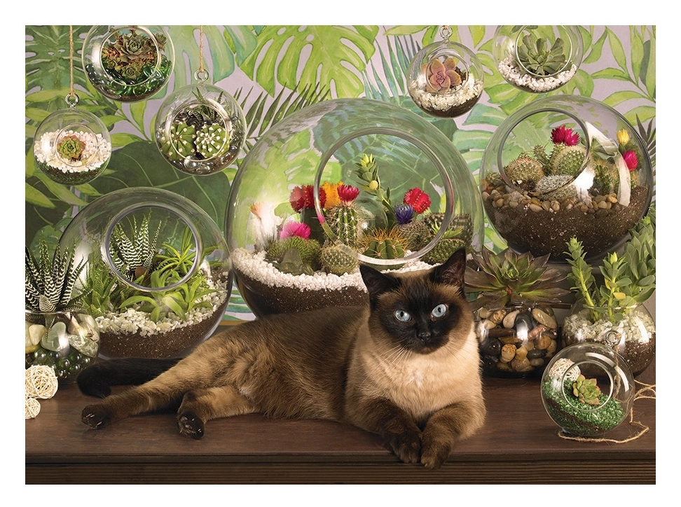 Terrarium Cat - Jo-Ann Richards