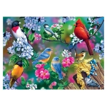 Songbird Collage - Audubon