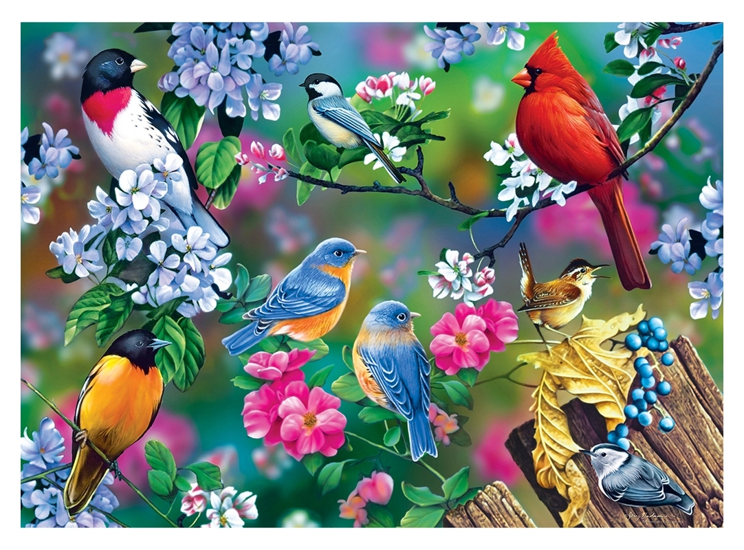 Songbird Collage - Audubon