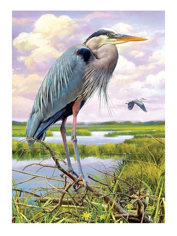 Heron (Reiher)