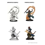 Tiefling Male Sorcerer D&D Nolzurs Marvelous Miniatures