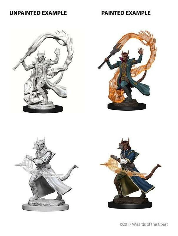 Tiefling Male Sorcerer D&D Nolzurs Marvelous Miniatures