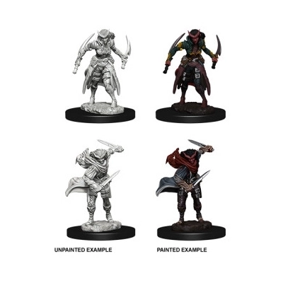 D&D Nolzur's Marvelous Miniatures - Tiefling Female Rogue 