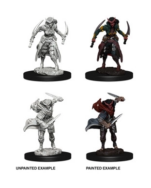 D&D Nolzur's Marvelous Miniatures - Tiefling Female Rogue 