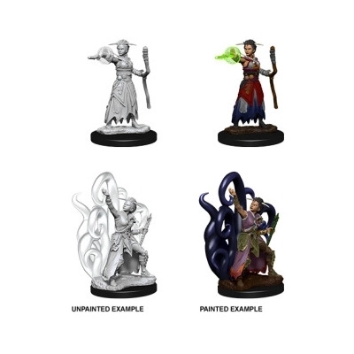 D&D Nolzurs Marvelous Miniatures W10 Female Human Warlock