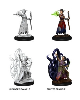 D&D Nolzurs Marvelous Miniatures W10 Female Human Warlock