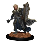 D&D Icons of the Realms Premium Figures W2 Elf Male Cleric