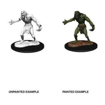 D&D Nolzur's Marvelous Miniatures - Raging Troll