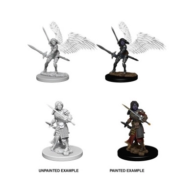 D&D Nolzurs Marvelous Miniatures Aasimar Female Paladin