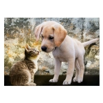 Kitten and Puppy