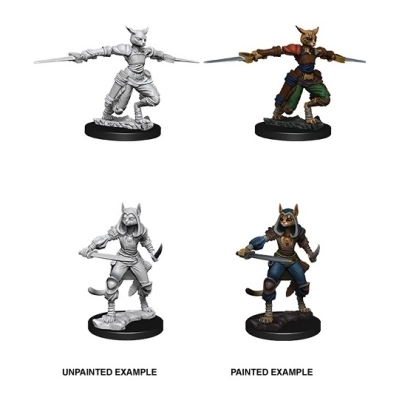 D&D Nolzurs Marvelous Miniatures W9 Female Tabaxi Rogue