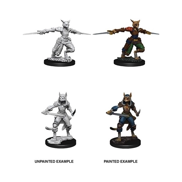 D&D Nolzurs Marvelous Miniatures W9 Female Tabaxi Rogue