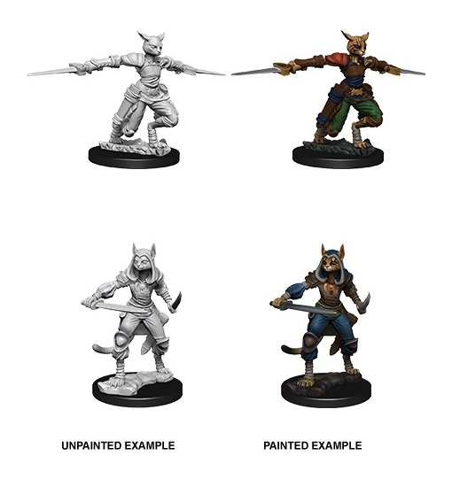 D&D Nolzurs Marvelous Miniatures W9 Female Tabaxi Rogue