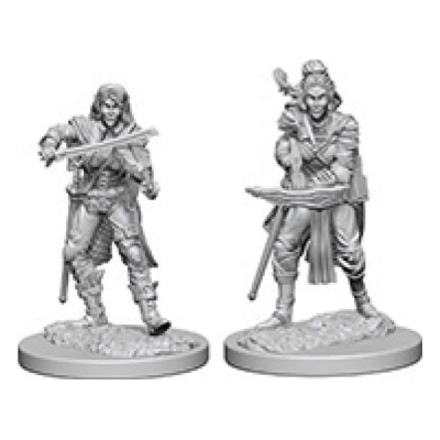 Elf Female Bard Pathfinder Deep Cuts Miniatures