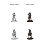 Elf Female Bard Pathfinder Deep Cuts Miniatures