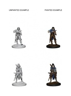 Elf Female Bard Pathfinder Deep Cuts Miniatures