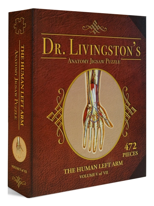 Dr. Livingstons Anatomy Jigsaw Puzzle The Human Left Arm - Volume V