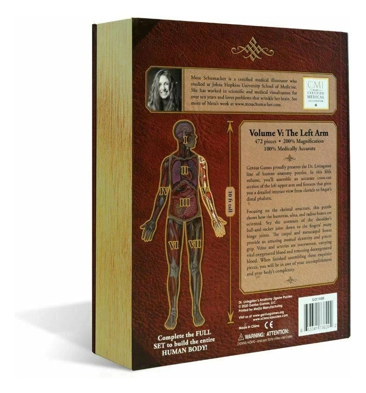 Dr. Livingstons Anatomy Jigsaw Puzzle The Human Left Arm - Volume V