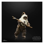 Star Wars Episode VI 40th Anniversary Black Series Actionfigur Paploo 15 cm