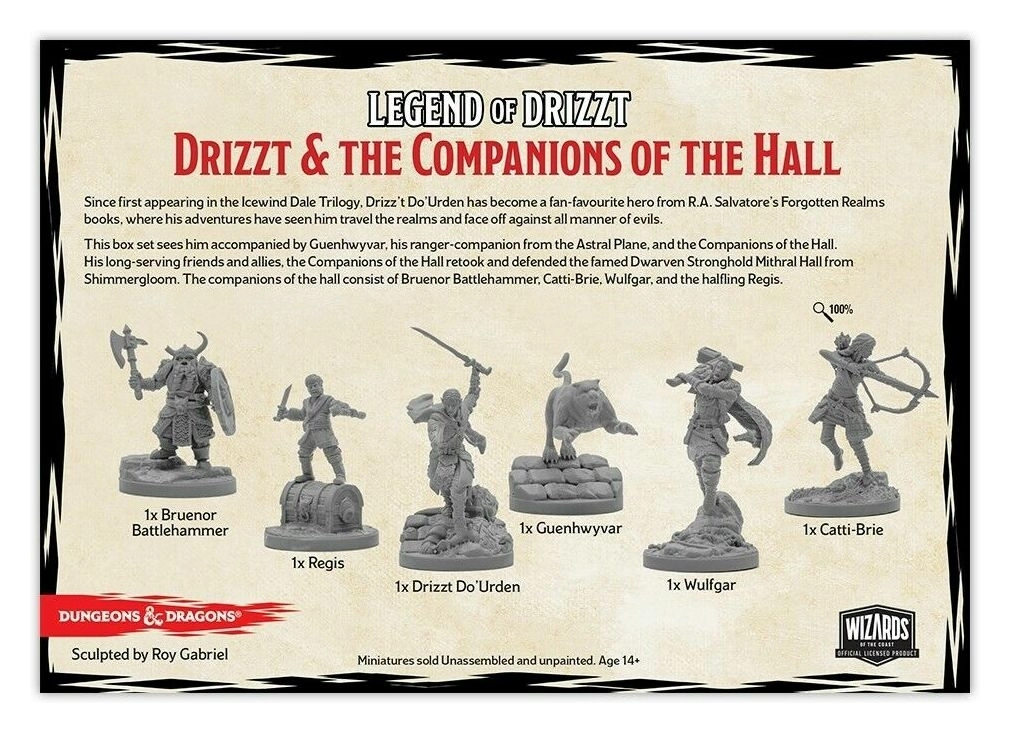 D&D The Legend of Drizzt - Companions of the Hall