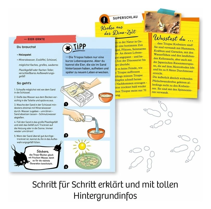 Fun Science Triops züchten, Experimentierkasten