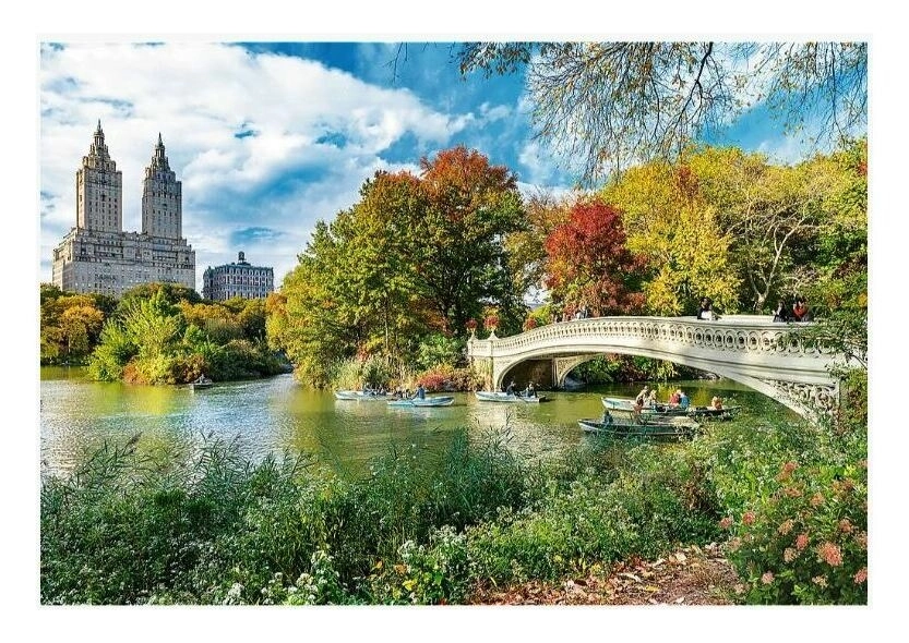 Trefl Prime - Central Park mitten in New York